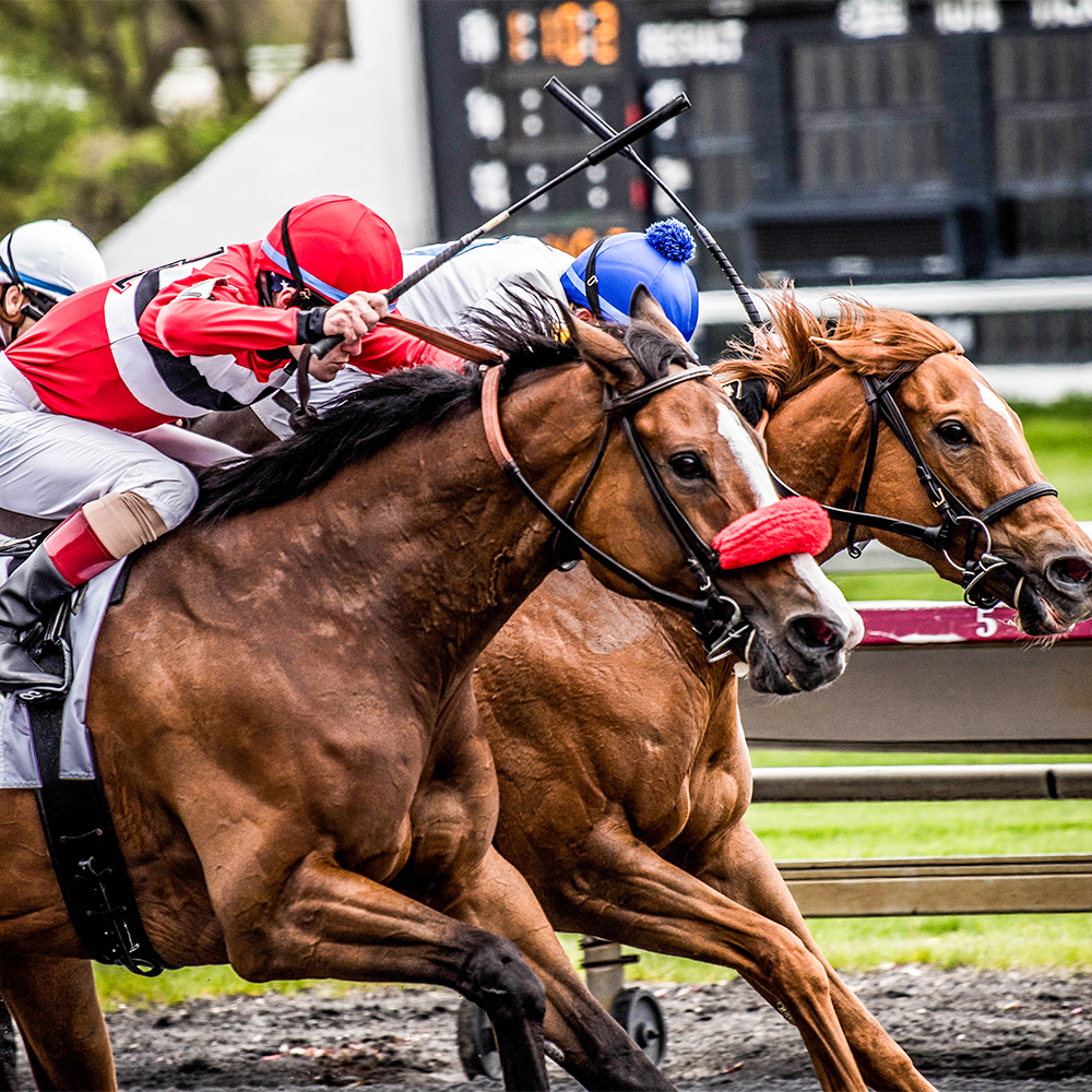 Top Events in Dubai April 2024 Live Events, Sports, Music